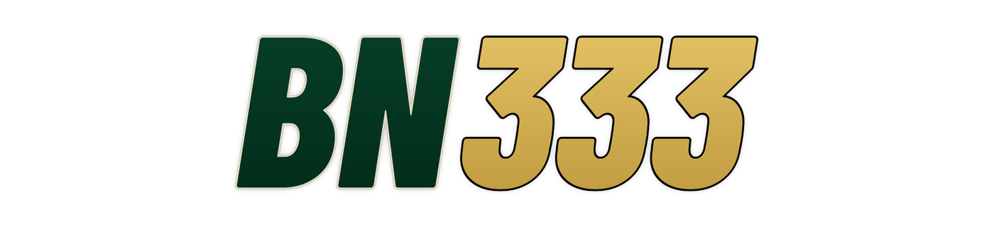 bn333